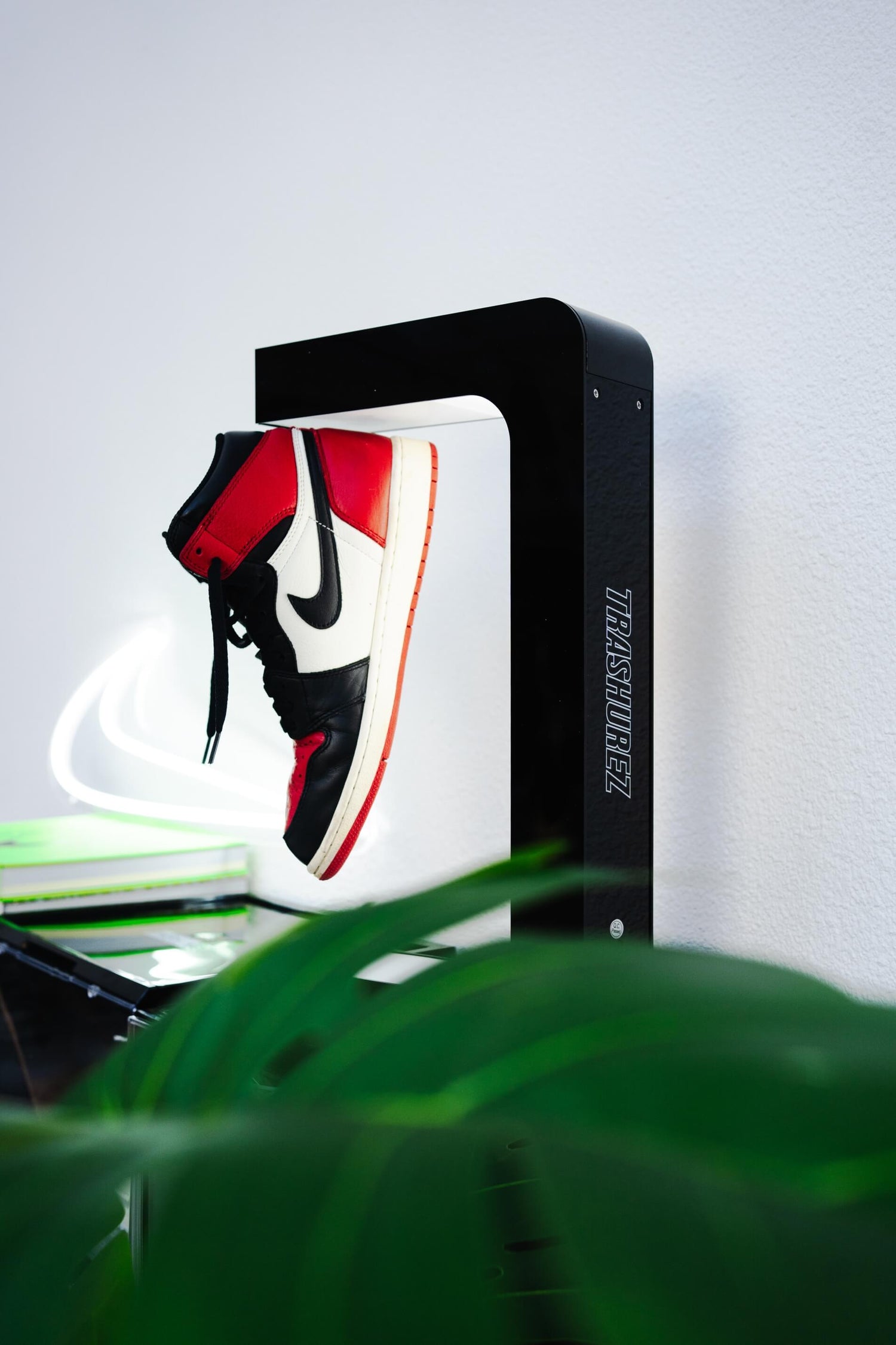 Black And White Sneaker Stand